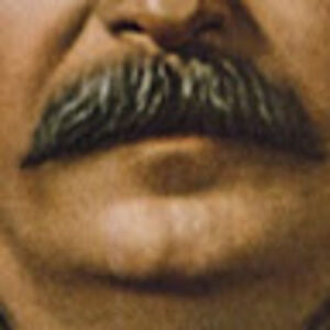 Stalin's Moustache