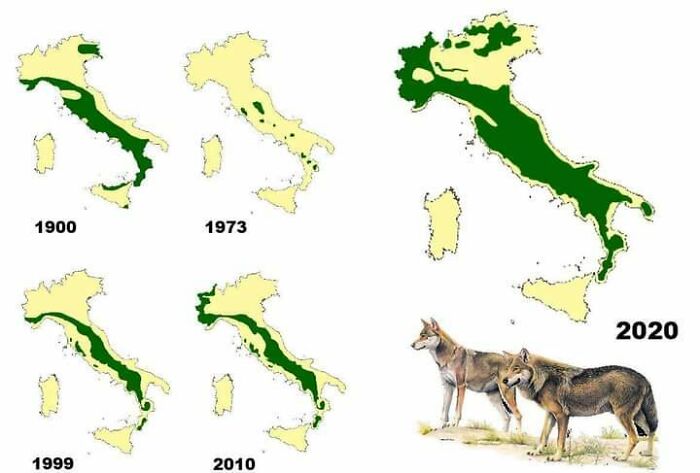 La distribución del lobo en Italia desde 1900