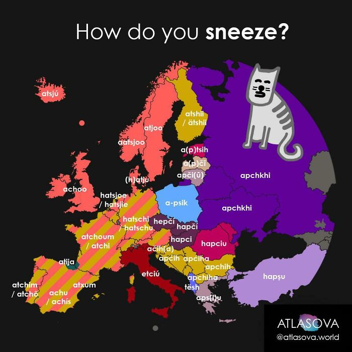 How Do You Sneeze?