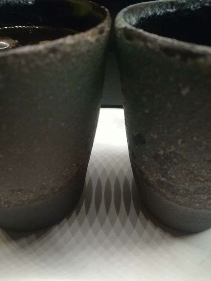 The Way The Shadows Look Between My Coffee Mugs
