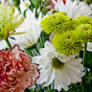 christinewilson avatar