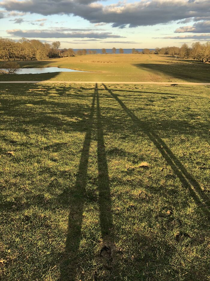 Here Is A Picture Of The Longest Shadow I Have Ever Seen Of Myself