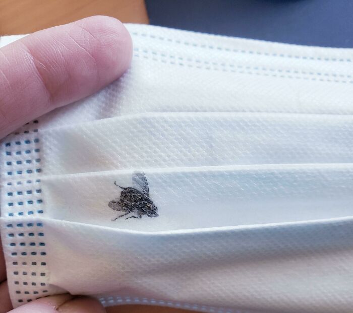 El destino de una desafortunada mosca en la fábrica de mascarillas