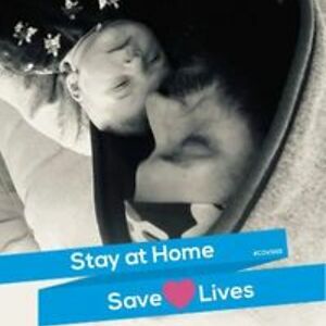 stevenofsherwood avatar