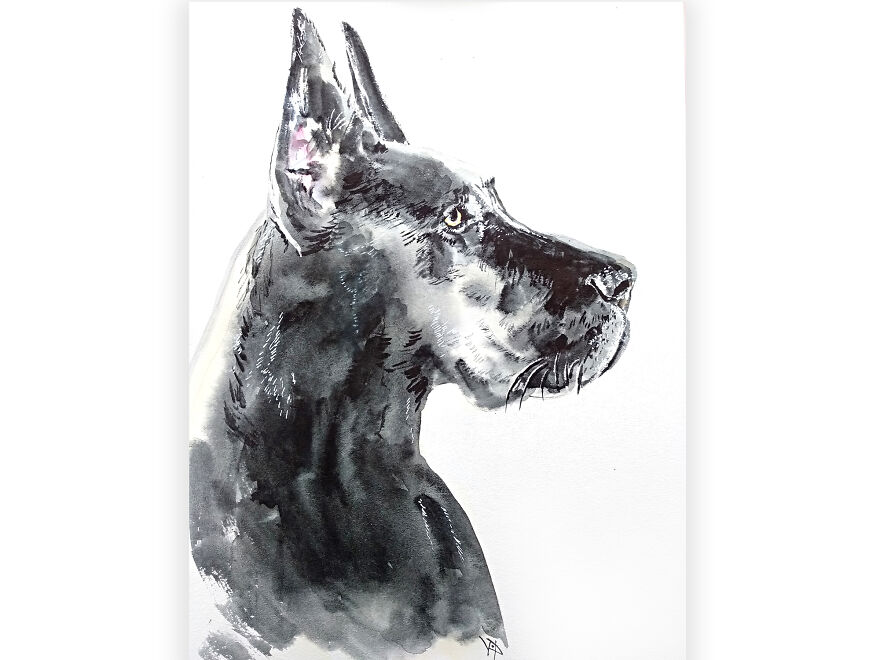 Artist Paints Portraits Of Pets To Save Stray Cats