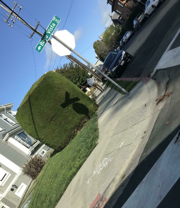 The Shadow Of These Signs I Drove By Spelled "Yo"