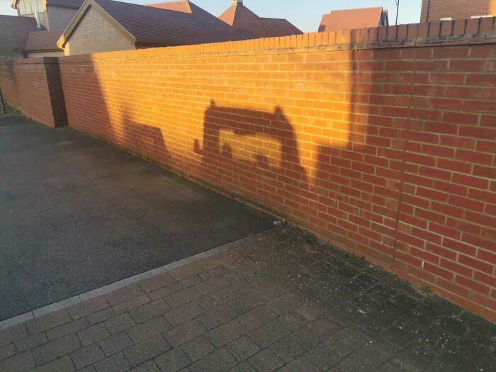 This Shadow I Walked Past Today Looked Like A Character From Cars