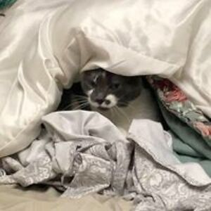 patriciakaythompson avatar