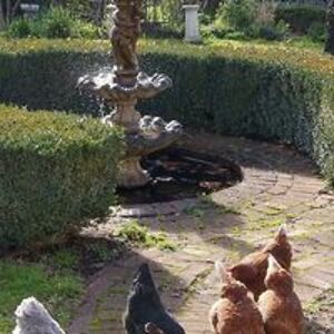 catherinevanderzeil avatar