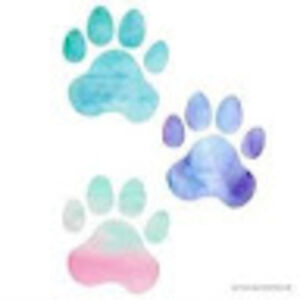 rebeccapeterson avatar