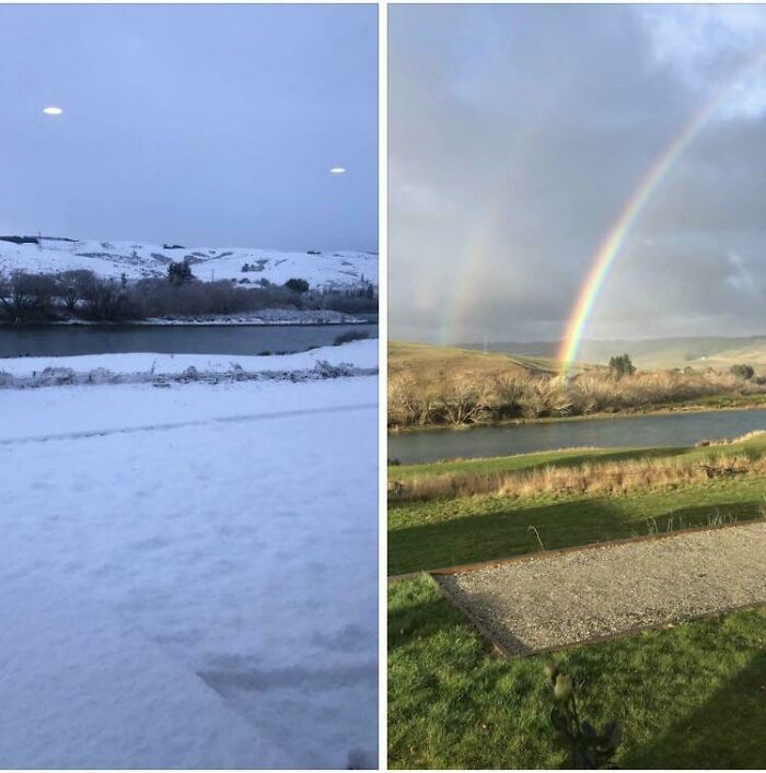Uncles Backyard Two Days Apart - New Zealand