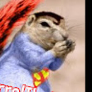 squirrelthenut avatar