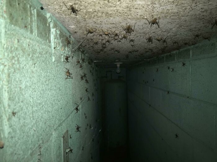 Found Out The House We Are Living In Has A Bunker Below. I Managed To Squeeze My Phone In One Of The Cracks Of The Door To Take This Creepy Picture