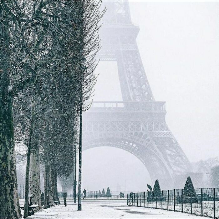 Winter In Paris.