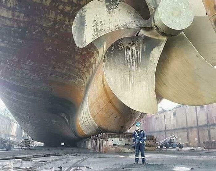 Big Boats Have Big Propellers. Imagine Seeing This From Underwater While Diving.