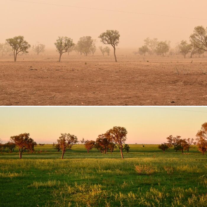 Five Months Later In Australia After The Rains