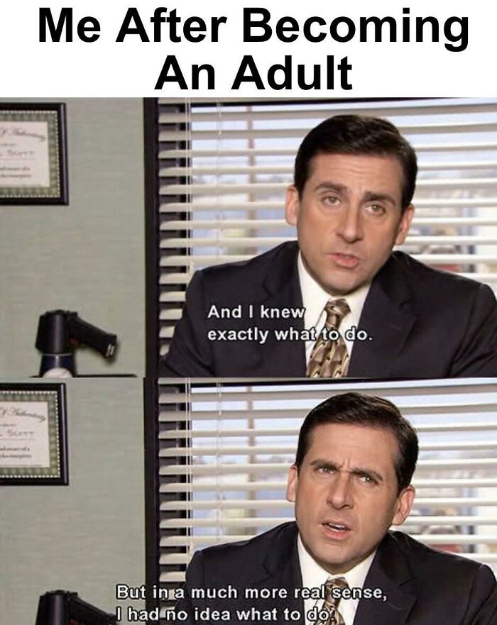 *googles How To Adult*