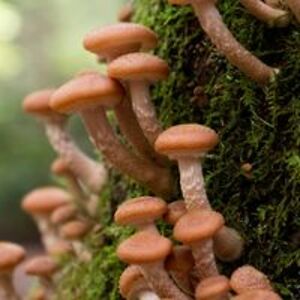 john_davis_jr_ avatar