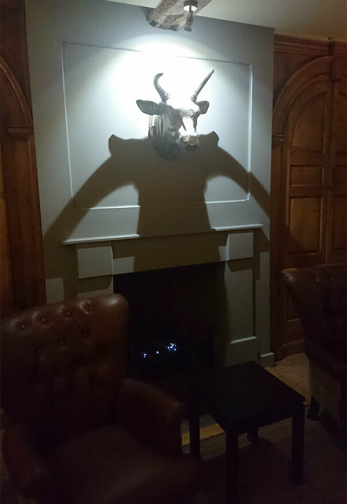 The Shadow Of This Decoration Piece Makes A Horror Movie Villain
