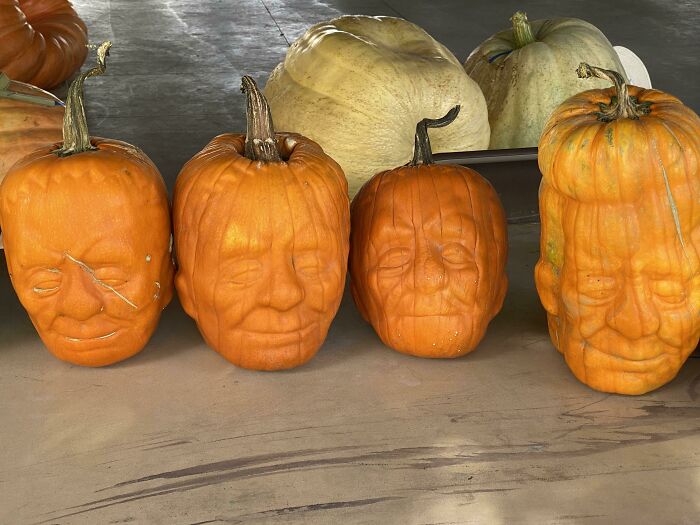 Pumpkins That Were Grown In A Mould