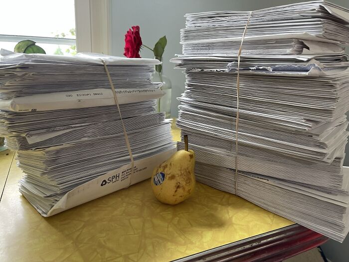 I’m Being Overcharged By Insurance After My Daughter Was Born. This Is The Pile Of Mail I Have To Go Through To Prove They’re Ripping Me Off. Pear For Scale