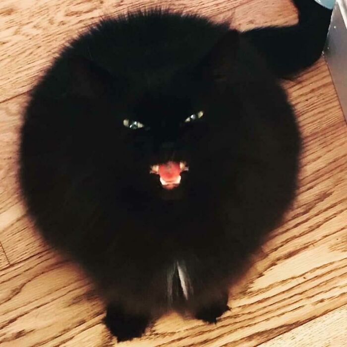 Meybey She Born With It Or Meybey It’s Teefies