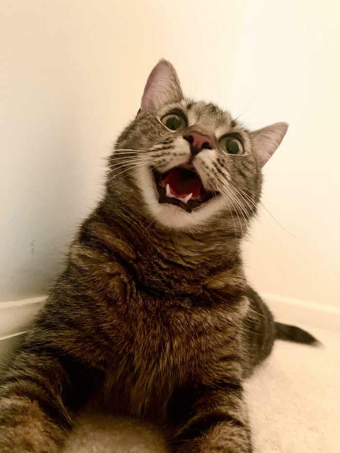 Play Time Teefs