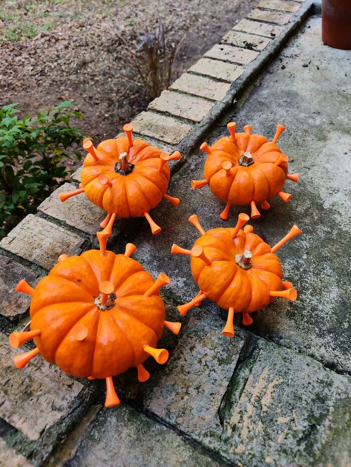 My Pumpkins For Halloween This Year