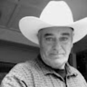 mortimercrowgull avatar