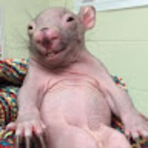 andrewvoight_1 avatar