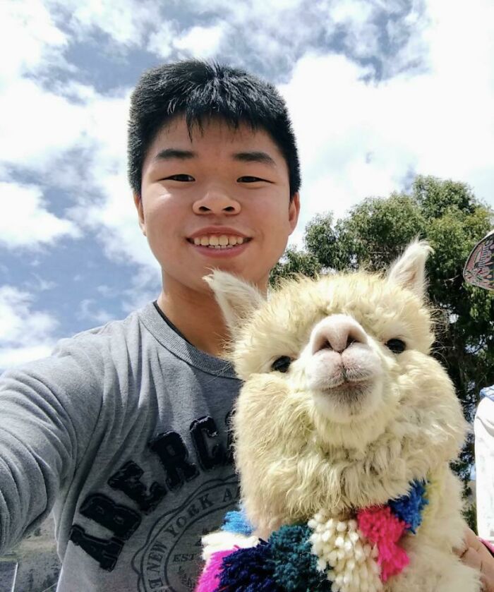 First Day In Cusco, Peru And I Met An Alpaca
