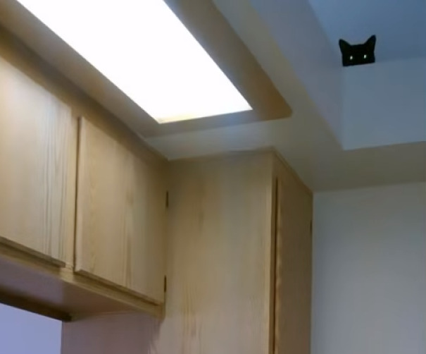 Ceiling Cat Sees You