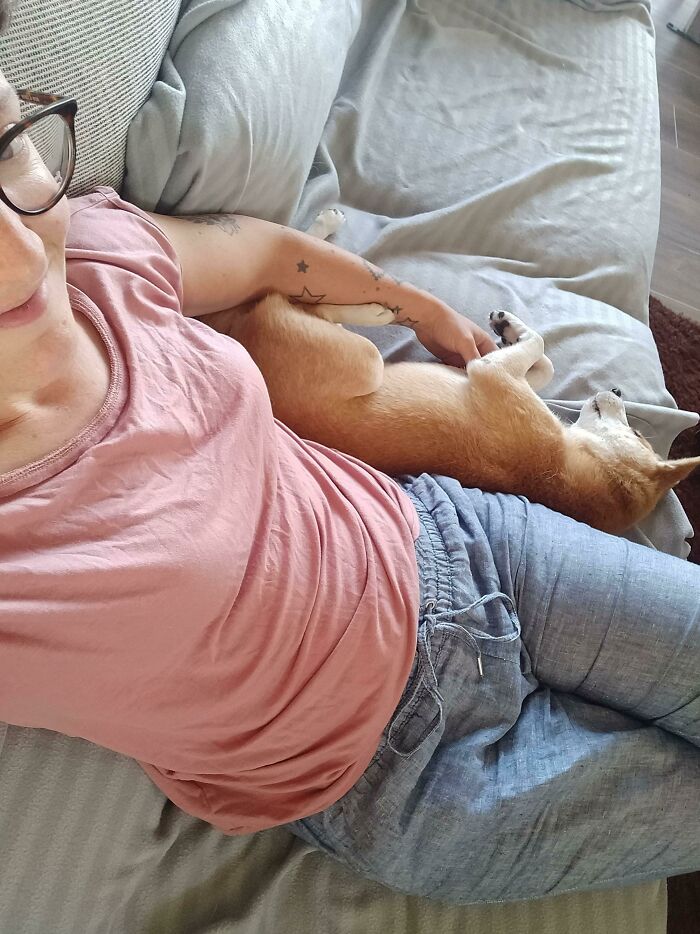 Adopted Her On Sunday From A Hectic Household. This Is Us After An Hour In Her Forever Home
