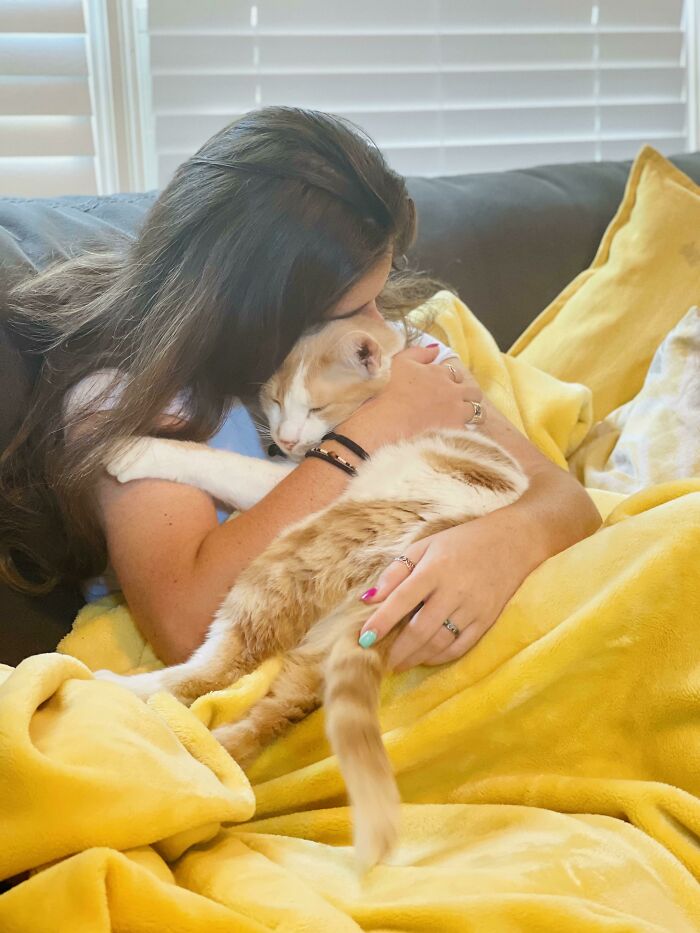 Mi hija perdió su amada gatita adoptada Ginger de 13 años el año pasado por el cáncer. Recientemente adoptamos a Creamsicle de 3 años. Creo que ambas van a estar bien