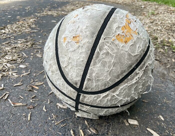 El único balón de baloncesto que vive en el parque local y que de alguna manera sigue botando
