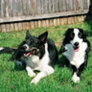 mariannehatfield avatar