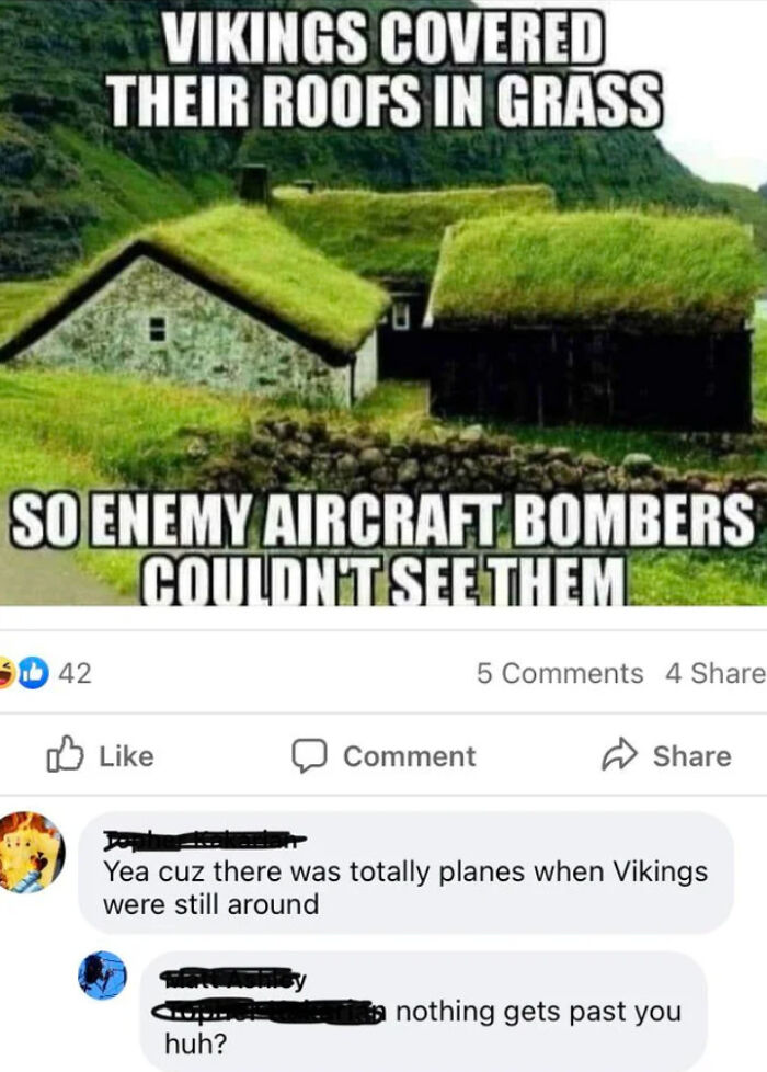 Vikings Covered Their Roofs In Grass