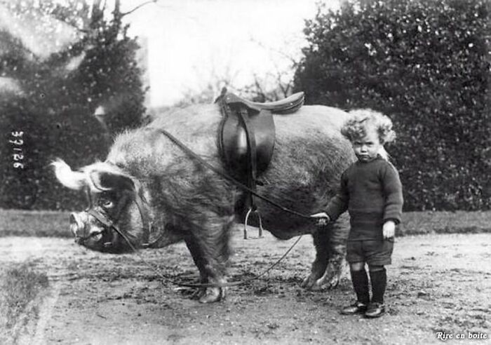 Boy With His Pet Boar, Ca. 1930.