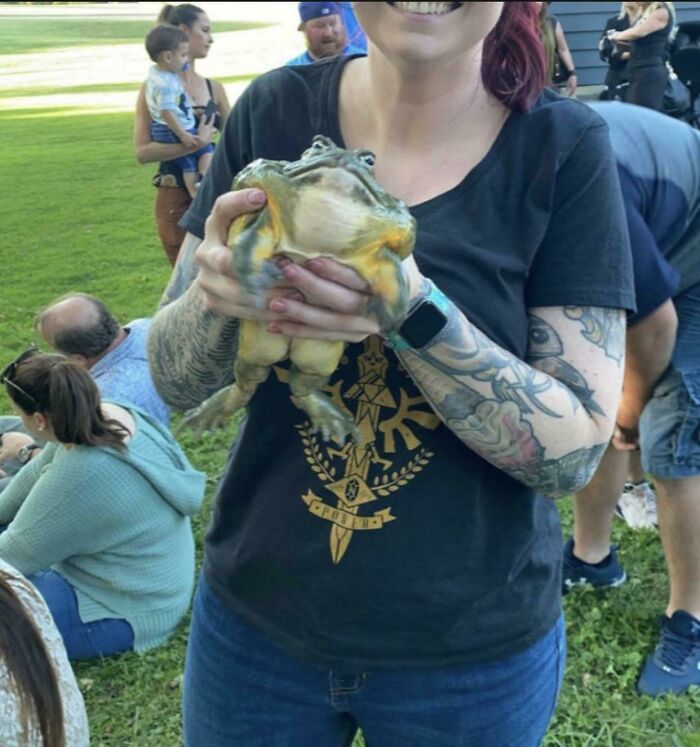 Jellybean, An Absolute Unit Of A Frog I Got To Hold Today.