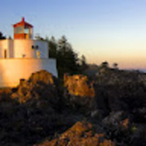 audreycofield avatar