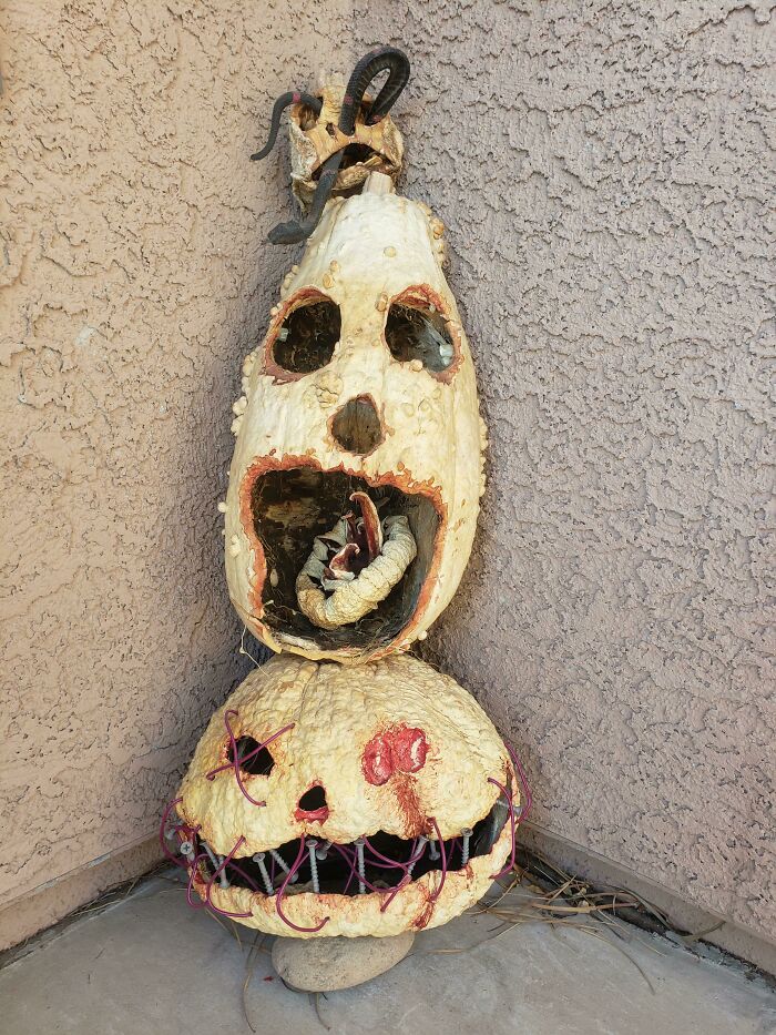 If You Pick Your Pumpkins Right, They Turn Into Shrunken Heads In The Las Vegas Heat. Ready For October