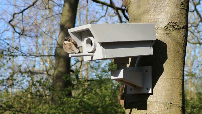 Made A Fake Security Camera Birdhouse From Scrap Wood 