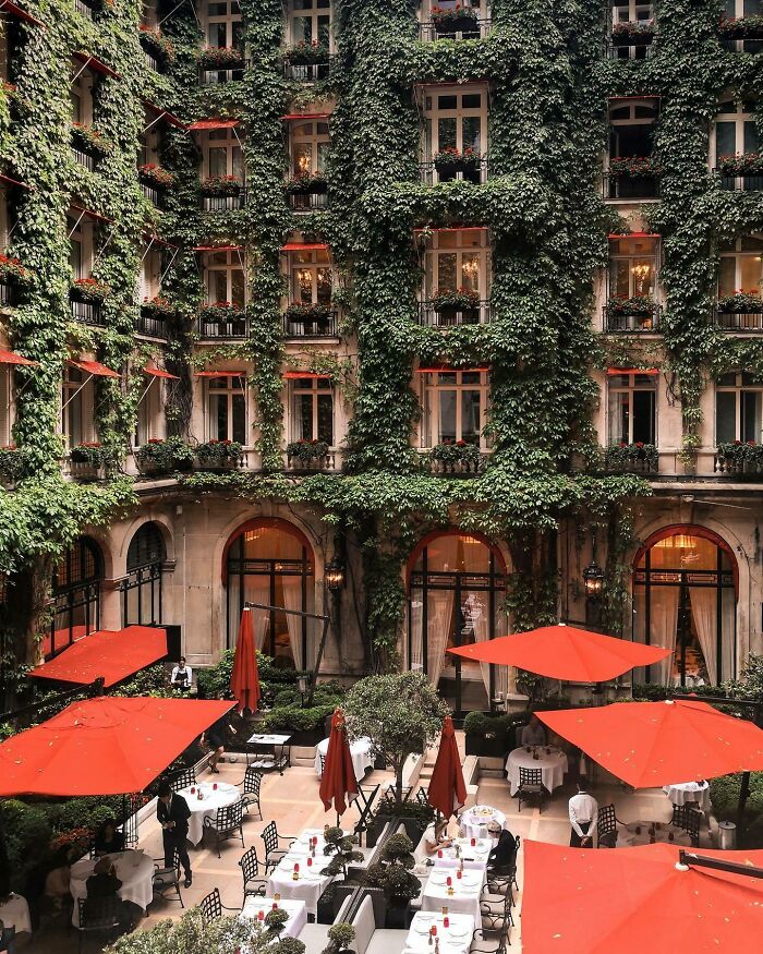 Inner Courtyard Surrounded By Walls Of Greenery In Plaza Athénée, A Historic Haussmann-Style Hotel That First Opened In 1913, Avenue Montaigne, 8th Arrondissement Of Paris, France