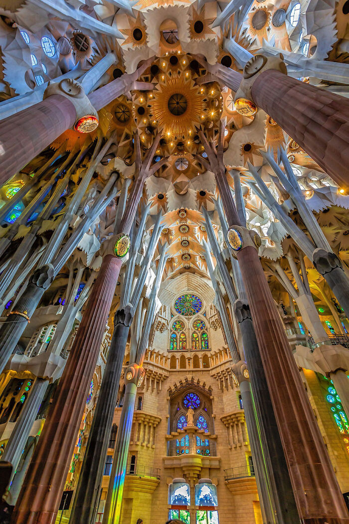El interior de la Sagrada Familia de Barcelona, diseñada por Antoni Gaudí. La construcción comenzó en 1882 y aún no está terminada. Se espera que esté terminada en 2026, justo a tiempo para el centenario de la muerte de Gaudí