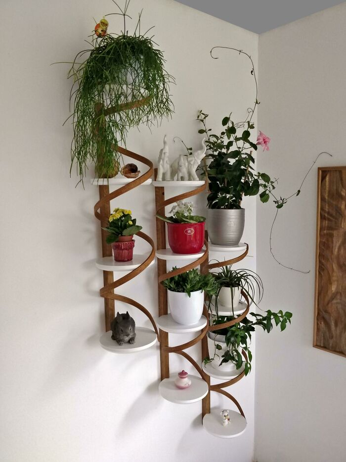 I Made Some Shelves