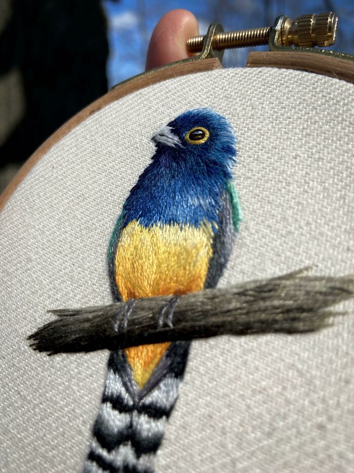 Close Up Of A Bird I Hand Embroidered This Week! (Gartered Trogon - Native To Central America)