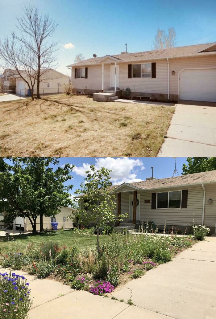 Before And After. My Water-Wise High Desert Cottage Garden