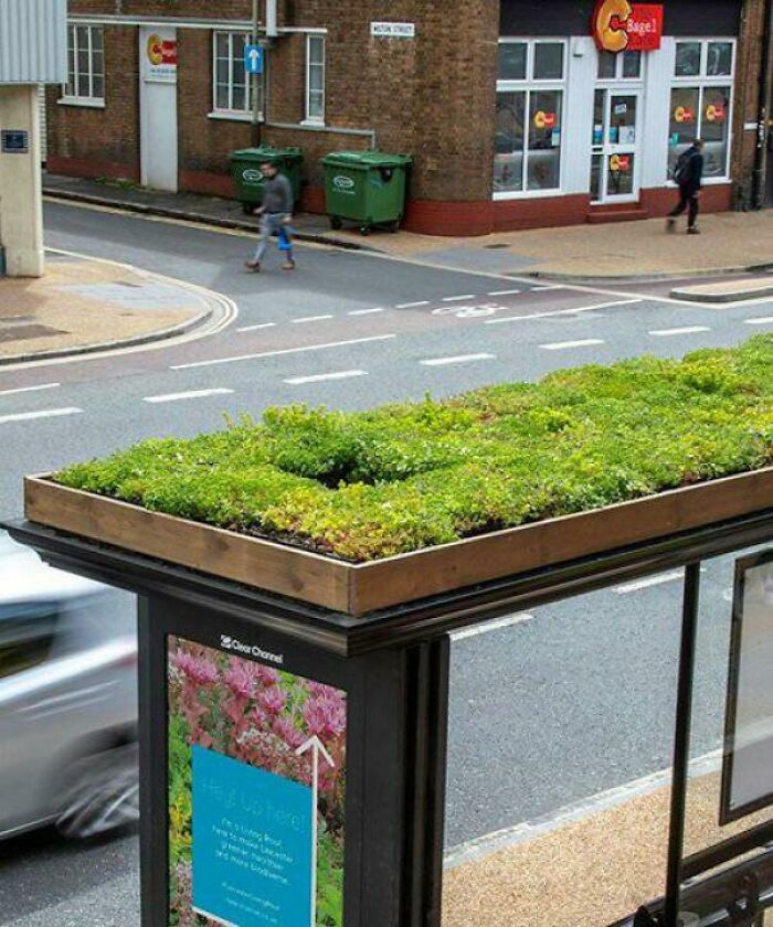 City Of Leicester Starts Turning Bus-Stops Into “Bee-Stops”