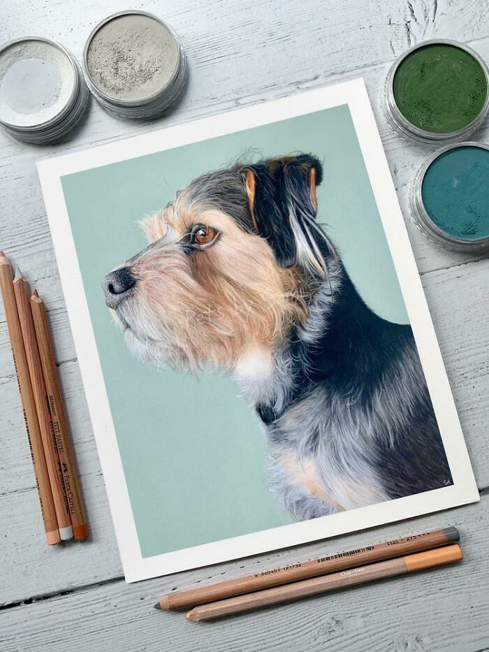 A Pet Portrait I Completed In Pastel Pencils And Panpastels ✏️