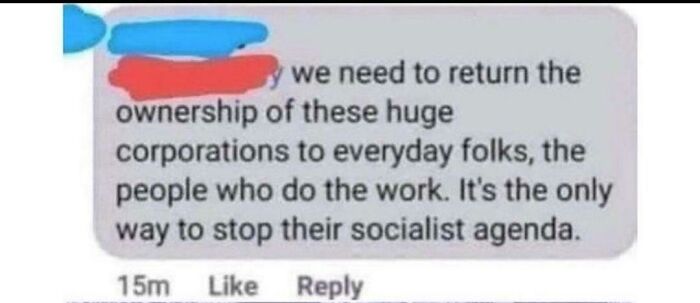 "It's The Only Way To Stop Their Socialist Agenda"